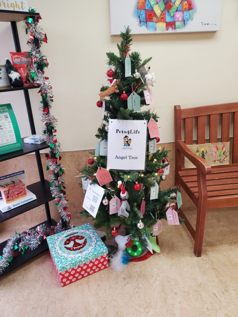 2024 Angel Tree Drive: Give the Gift of Hope 20221202 140127 1152x1536