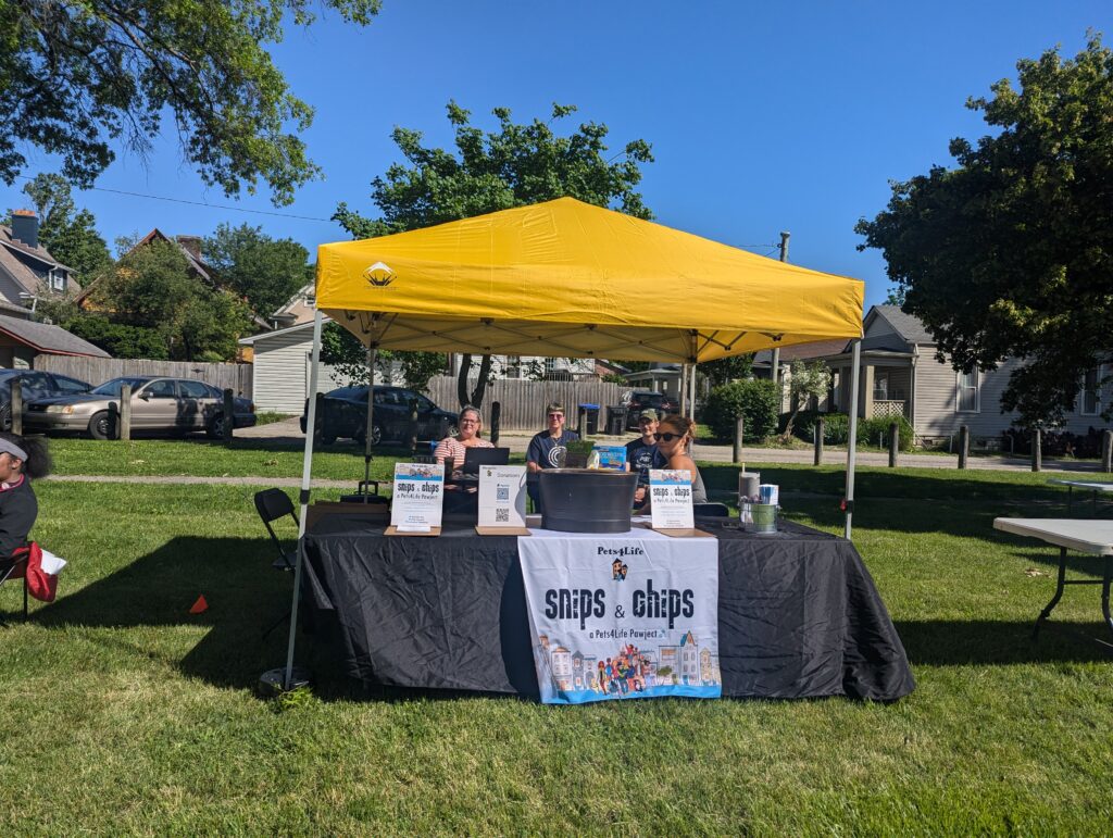 Shine a Spotlight on Pets & People: Join Us as a Social Media Intern! copy of pxl 20250517 141122344