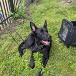 copy of pxl 20250521 202357115