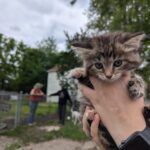 copy of pxl 20250521 213200451