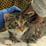 copy of pxl 20250525 174145010