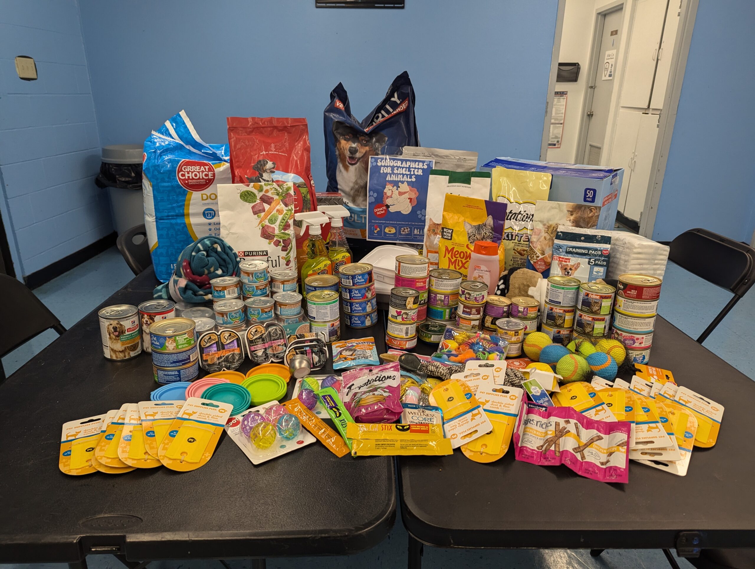 copy of pxl 20250530 190320056