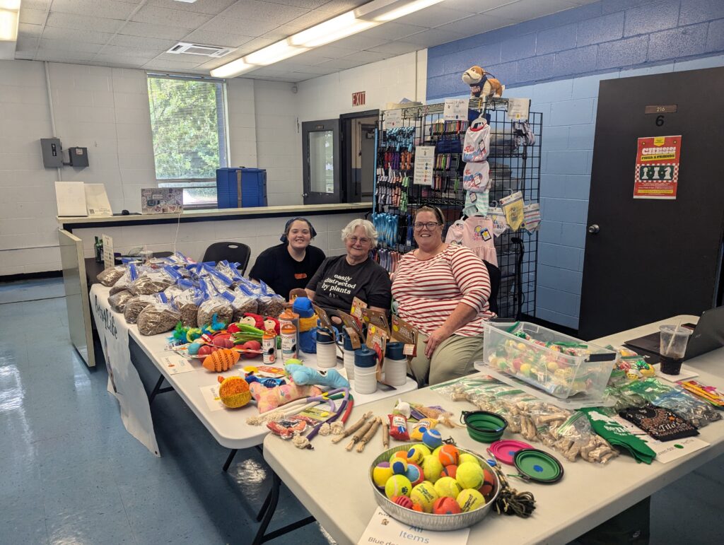 copy of pxl 20250628 175424288