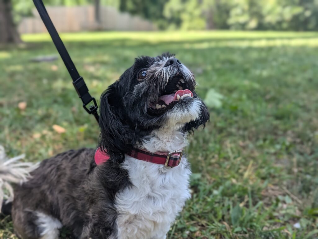 copy of pxl 20250712 160603962