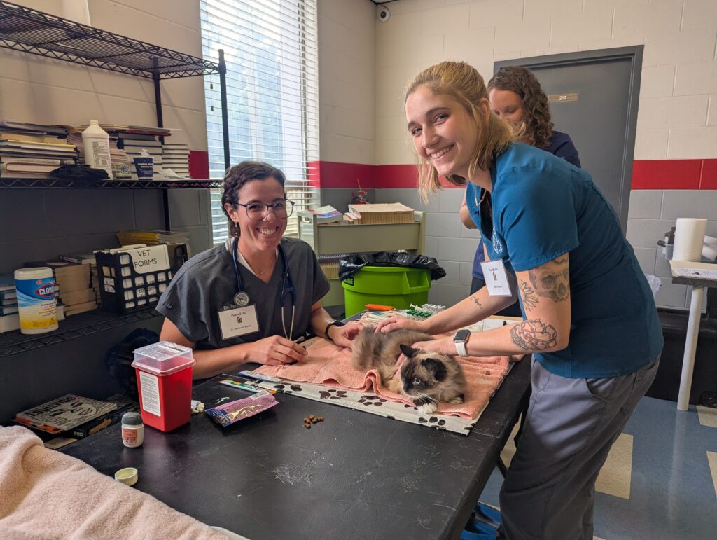 copy of pxl 20250803 174412836