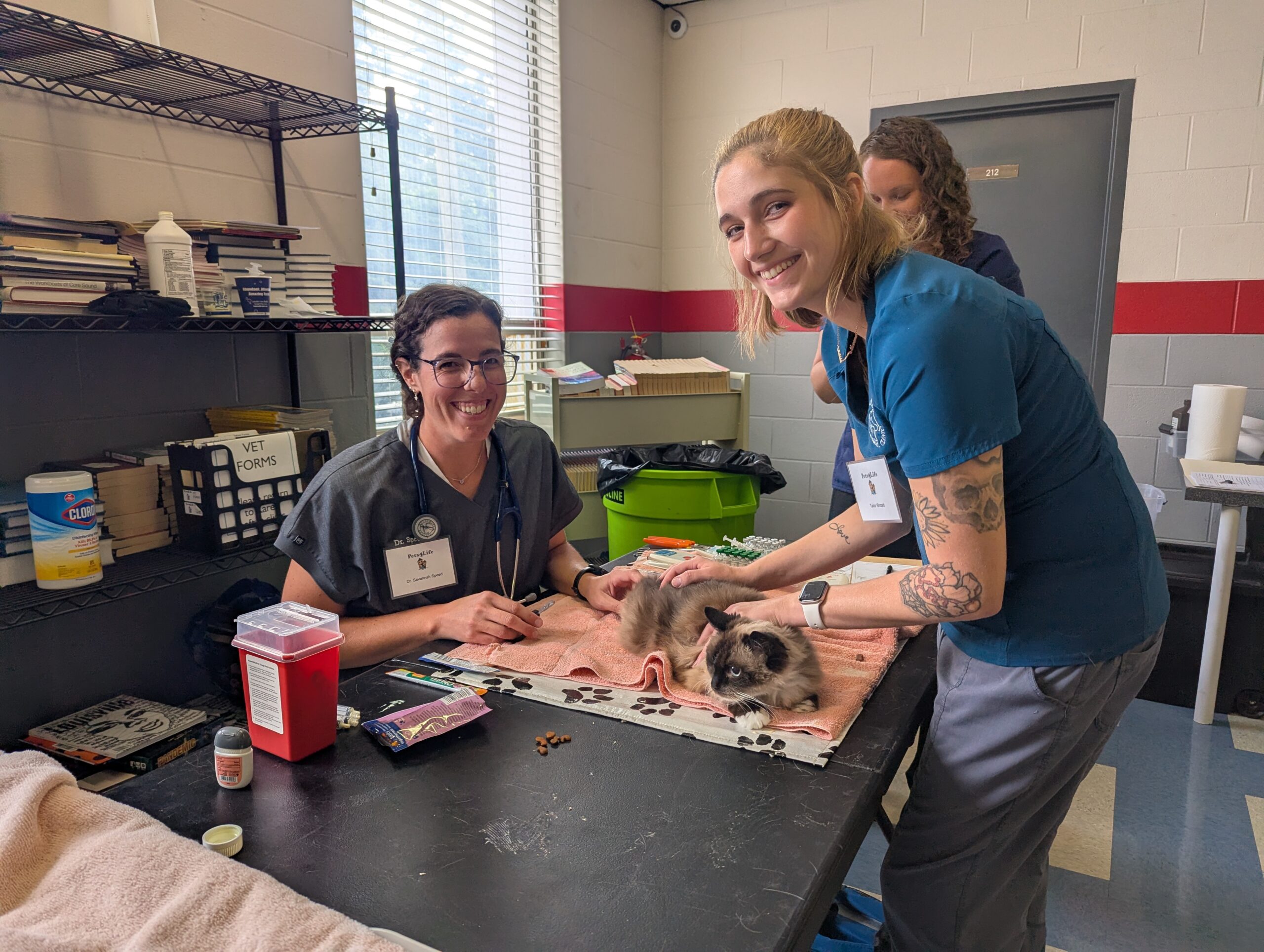 Blog copy of pxl 20250803 174412836