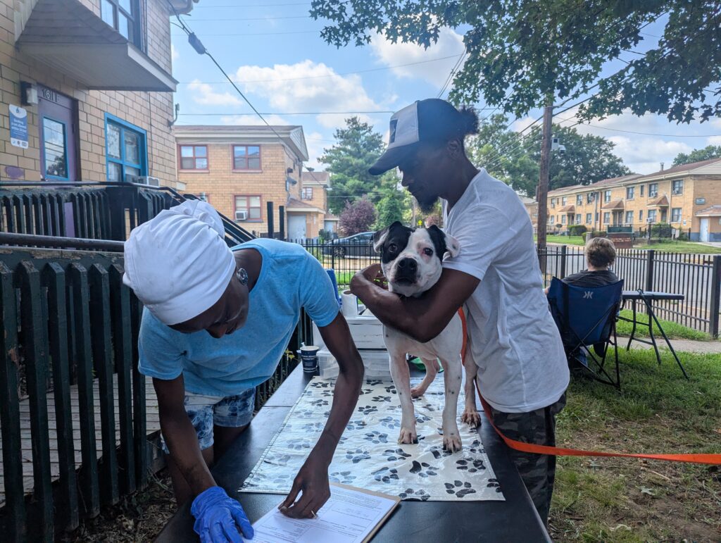 2023 Year-End Summary copy of pxl 20250813 160239278