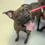 copy of pxl 20250820 160308887