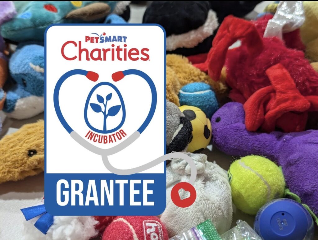 Mid-Year Update: Making Strides with the Petsmart Charities Incubator Grant screenshot