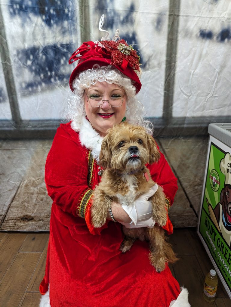 pxl 20231216 183620994 768x1020