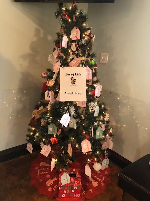 2022 Angel Trees image