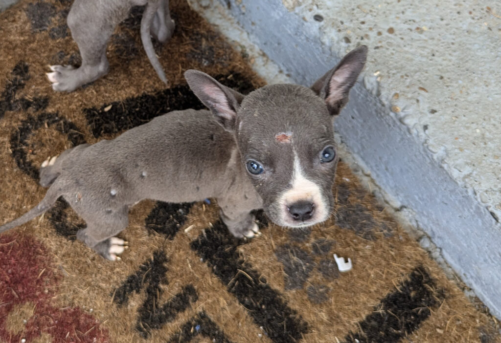 20240707 cameron outreach (8)